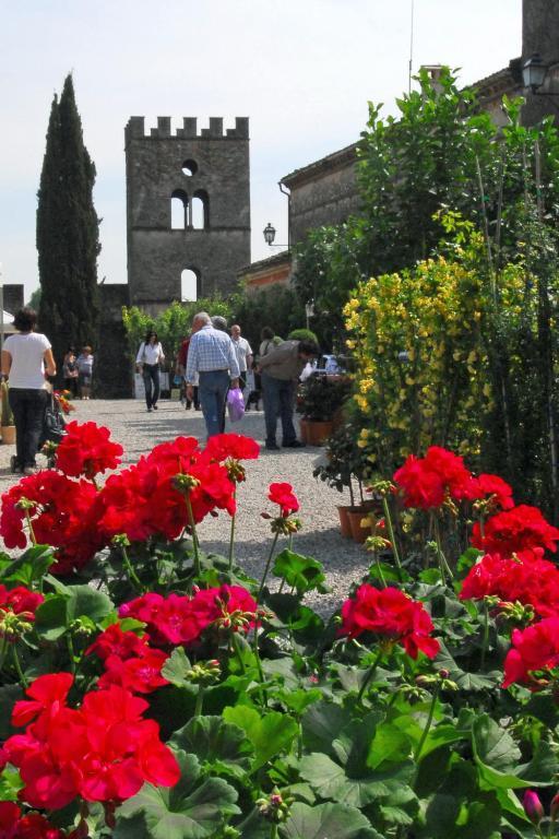 Antica Dimora Dell'Ortolano Castellaro (Lombardy) Exterior foto